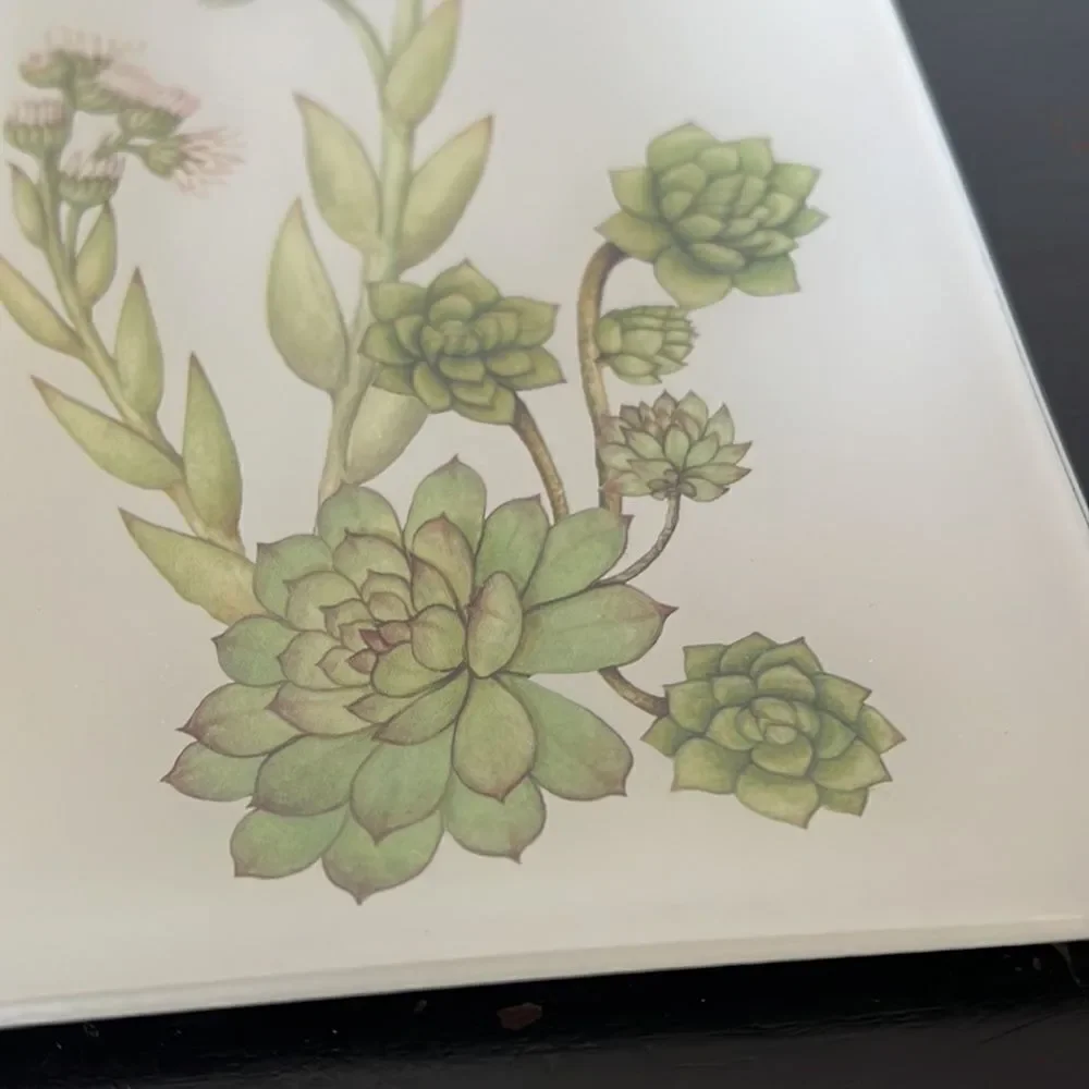 Pottery Barn Glass Succulent Decoupage Tray
